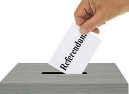 urna wyborcza, do której wrzucana jest kartka z napisem referendum