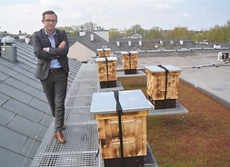 Prezydent stoi na dachu ratusza, przy ulach pszczelich