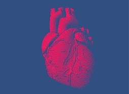 Grafika renderowana trójwymiarowa ludzkiego serca