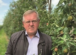 Zdjęcie w plenerze. Radny Leszek Przybytniak w sadzie, stoi przy jabłoni. Za nim widok na rzędy rosnących drzew owocowych.