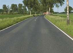 droga asfaltowa i przydrożne brzozy