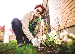 kobieta w okularach sadzi kwiaty na rabatce