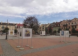 rynek miasta, widok na plac, na którym stoją plansze ze zdjęciami