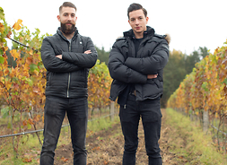 na pierwszym dwaj mężczyńni ubrani na czarno stoją obok siebie, w tle winnica jesienią