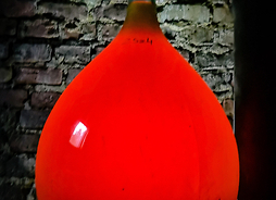 gąsior, w którym fermentuje pomarańczowe wino