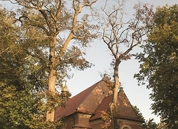 Ceglany kościół w otoczeniu drzew