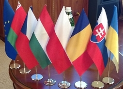 Flagi państwowe krajów biorących udział w konferencji