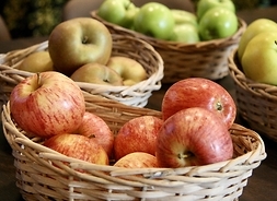 na zdjęciu widać kosze z jabłkami