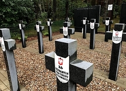 Krzyż poświęcony nieznanym ofiarom terroru hitlerowskiego
