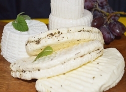 zdjęcie białego sera z ziołami