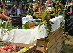 na stole pokrytym białą serwetą leżą warzywa i owoce z tegorocznych zbiorów