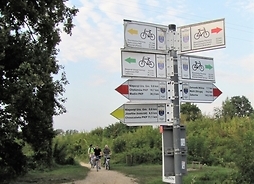 Drogowskazy na szlaku rowerowym - na słupie jest kilka tablic, każda wskazuje inny kierunek