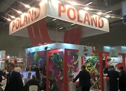 Ogólny widok na stoisko w polskich barwach narodowych