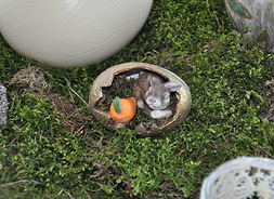 Figurka królika, który siedzi w skorupce jajka na tle zielonego mchu