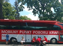 Widok na nowoczesny czerwono-biały autobus. W tle widać drzewa