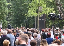 Powązki Wojskowe, Warszawa, tłum ludzi oddaje hołd Powstańcom w Godzinę W