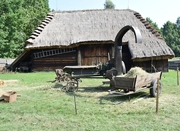 Muzeum Wsi Radomskiej, skansenowskie pole, chałupa kryta strzechą
