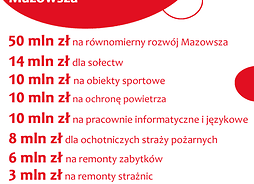 Infografika pokazująca liczbowo ile milionów zł zostanie przeznaczonych na programy wsparcia z budżetu Mazowsza, w sumie 110 mln zł.