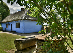 Bielona, kryta strzechą chata, na pierwszym planie jabłonka