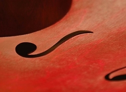 Bok instrumentu podobnego do skrzypiec, widać ozdobne wycięcie w pudle rezonansowym