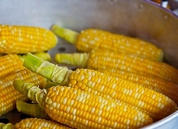 Na zdjęciu znajduje się miska wypełniona kolbami kukurydzy