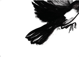 Plakat z rysunkiem dolnej części odlatującego ptaka