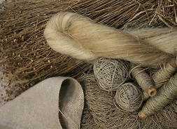 Zdjęcie przedstawia suszony len, warkocz przędzy, fragment lnianego materiału oraz sznurka zwiniętego w kłębki