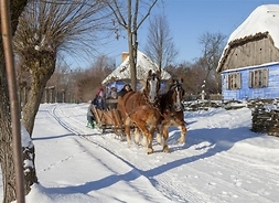 Dwa konie ciągną wóz oraz sanki z uczestnikami kuligu. Zdjęcie w plenerze w zimowej scenerii