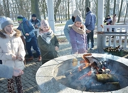 Dzieci pieką kiełbaski na patykach w ognisku. Zdjęcie w plenerze