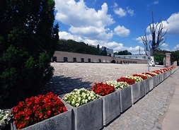 Kwitnące kwiaty w betonowych donicach ustawione w rzędzie. W tle obiekty Muzeum Więzienia Pawiak. Zdjęcie w plenerze.