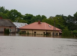 Link do: Powódź w powiecie płockim 2010 r.